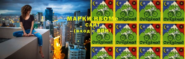 стаф Баксан