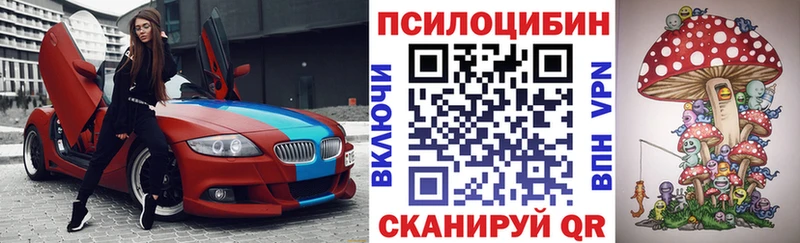 закладка  Солигалич  Галлюциногенные грибы GOLDEN TEACHER 